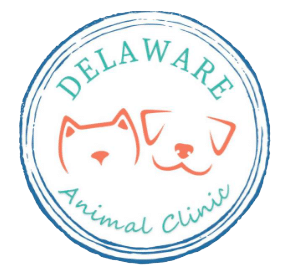 Delaware Animal Clinic